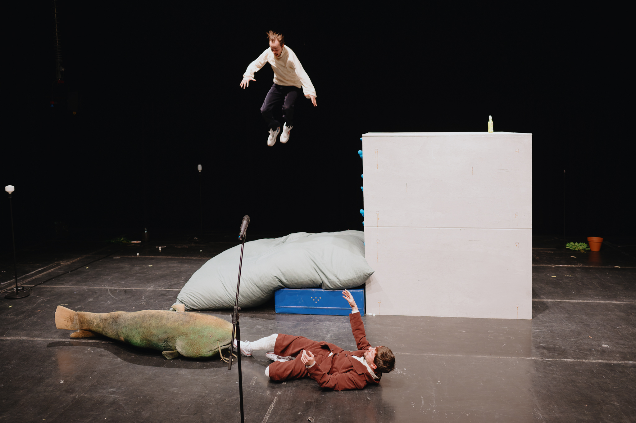 NZ6 9456 20241218 DxO DeepPRIME XD2s